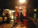 Leistungsabzeichen2009_11