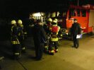 Leistungsabzeichen2009_17