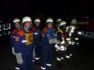 Leistungsabzeichen2009_2