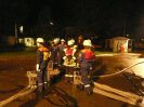 Leistungsabzeichen2009_4
