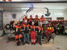 Motorsäge am 20.03.2019_11