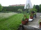 Hochwasser_2013_16