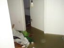 Hochwasser_2013_37