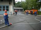 Leistungsabzeichen 2001 8